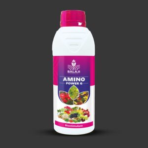 Amino Power G