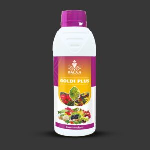 Goldi Plus