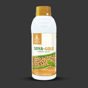 Soya Gold